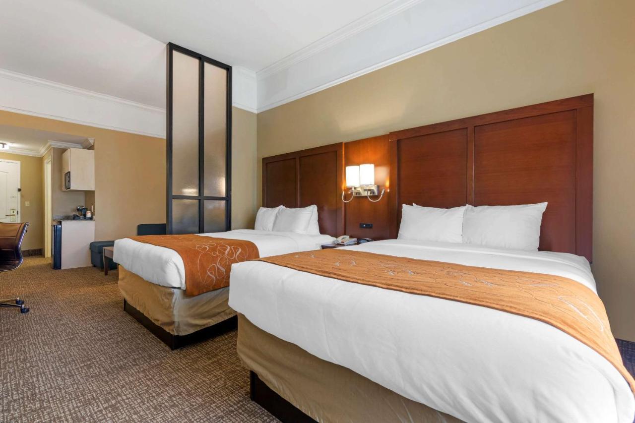 Comfort Suites Savannah North Port Wentworth Buitenkant foto